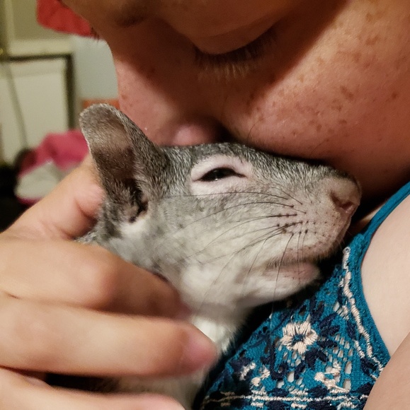 Meet your Posher, Crystal - Picture 5 of 7